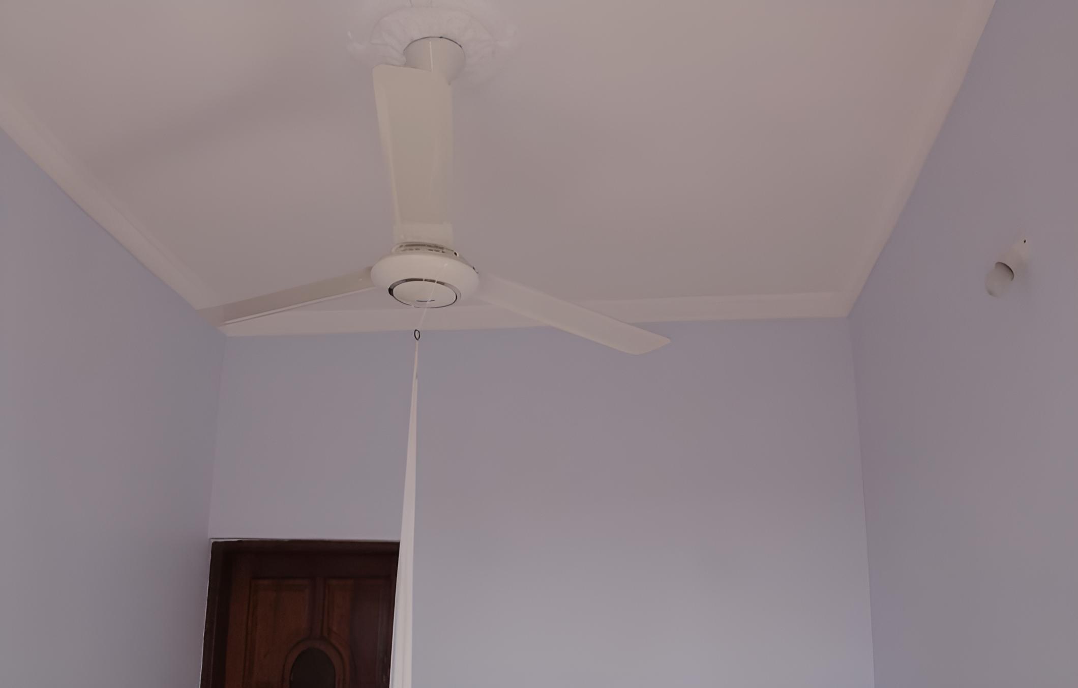 Crim Wind Freedom