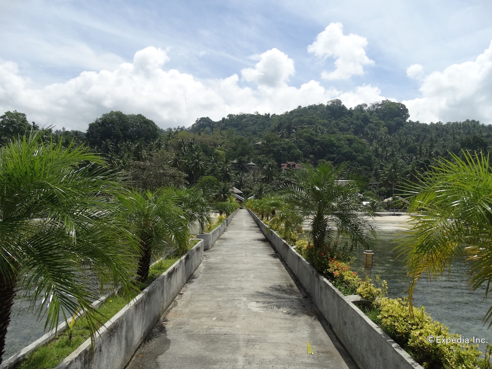 Photo 44