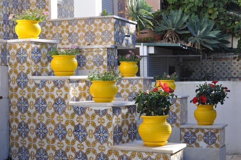 Casa Amarela Belém