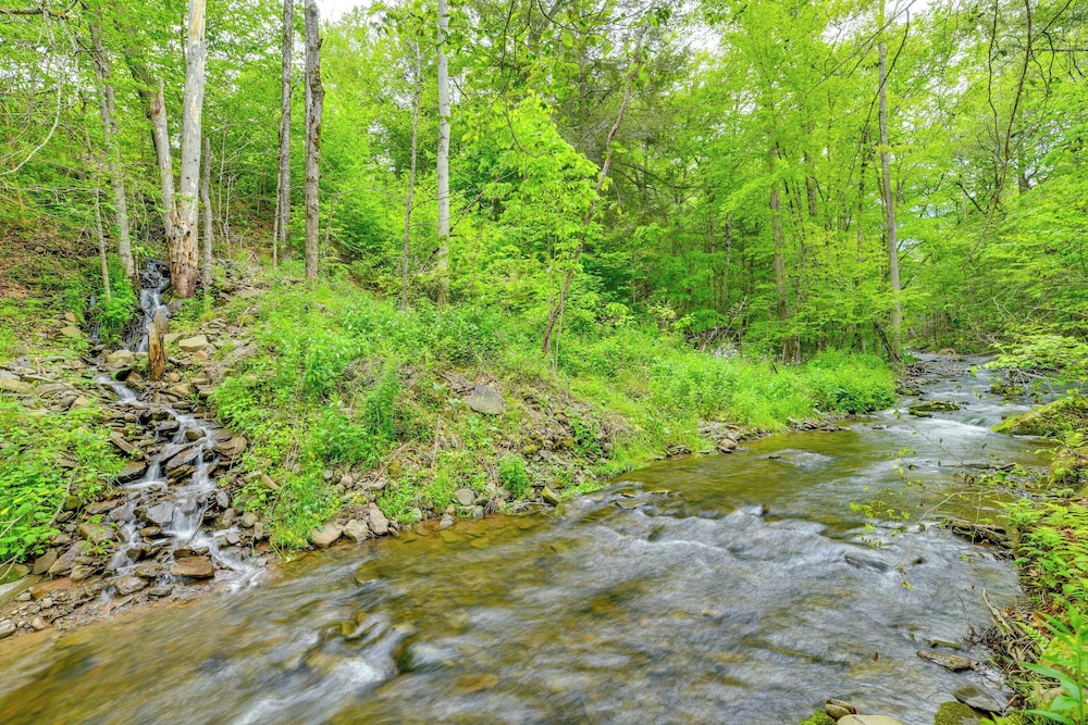 Serene Home w/ On-site Brook in Callicoon Center