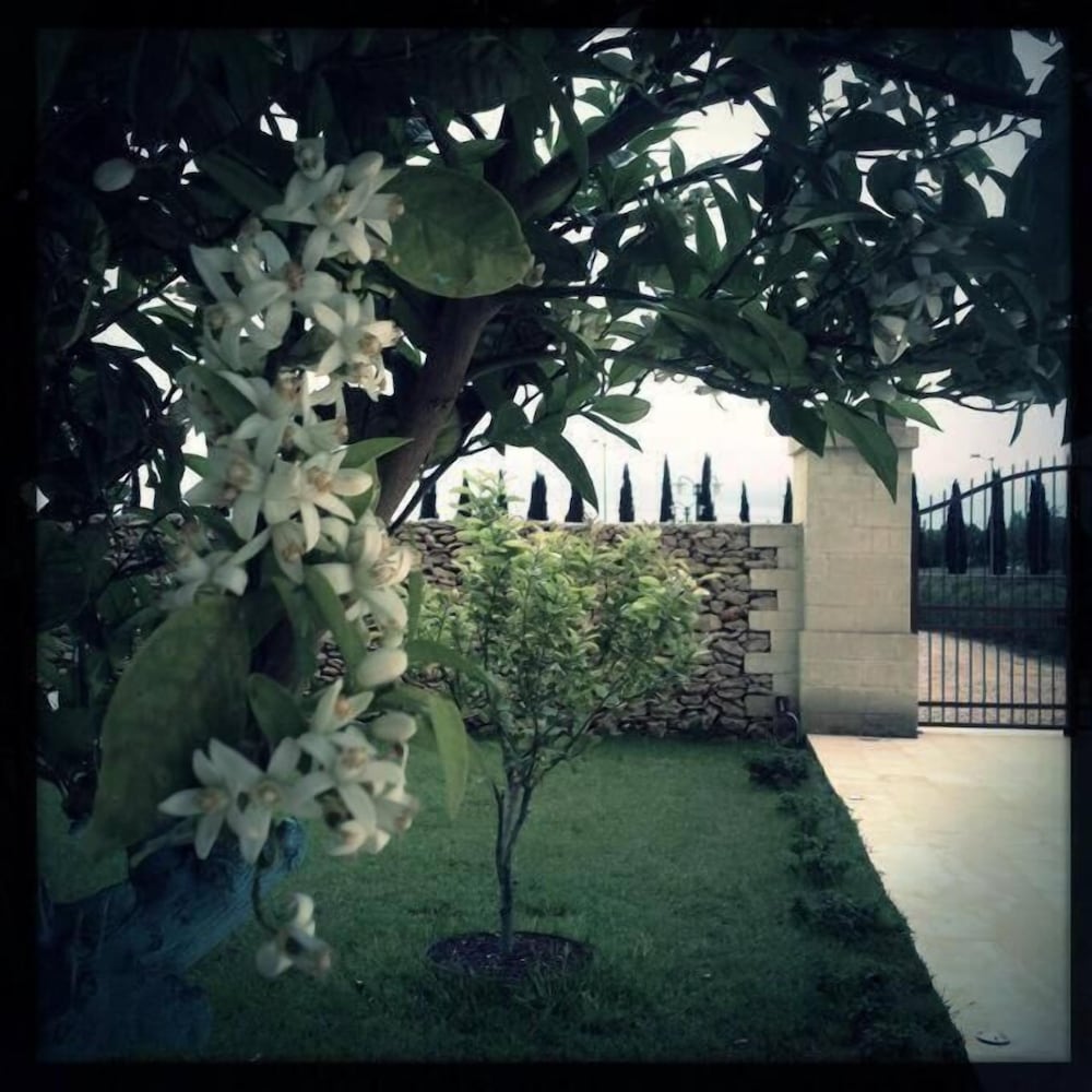 Masseria San Polo