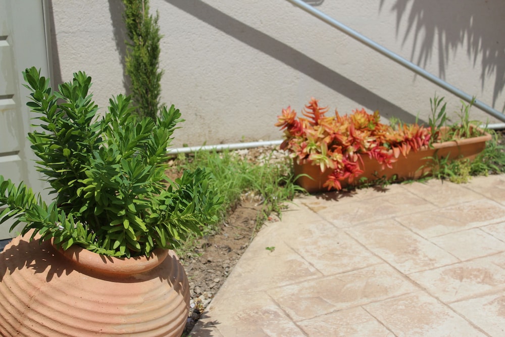 Photo 26