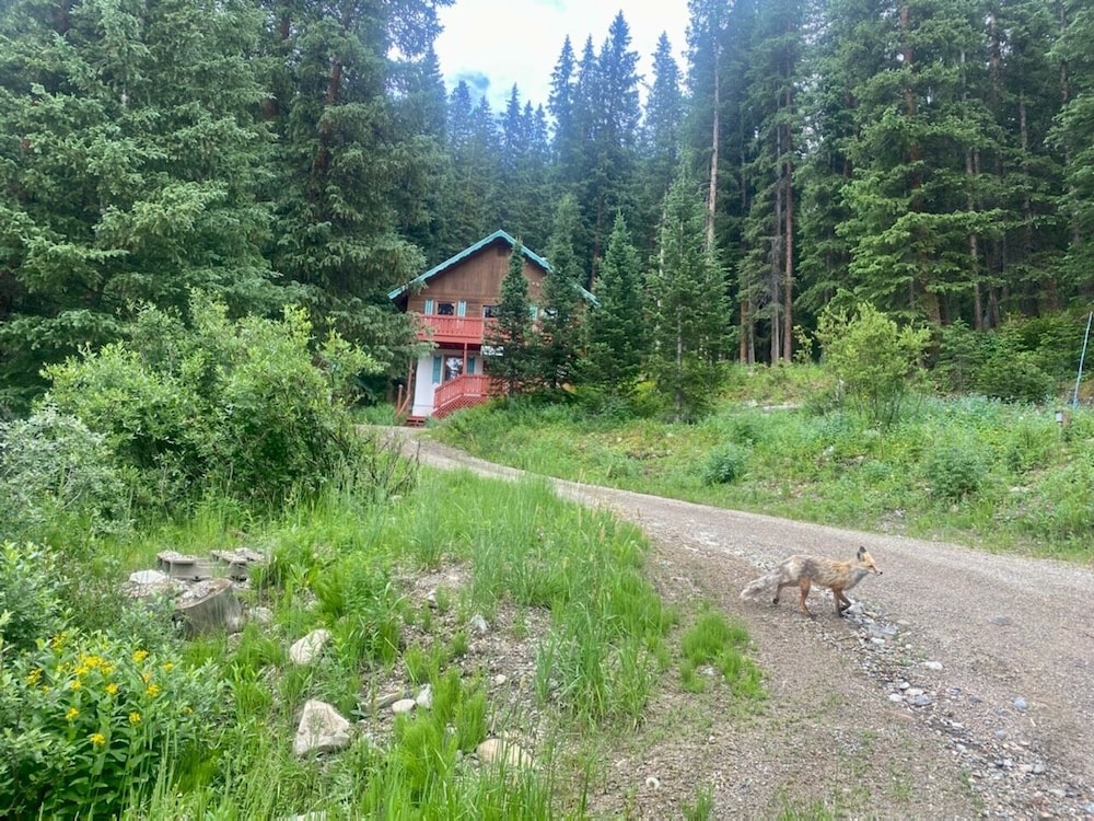 Photo 21