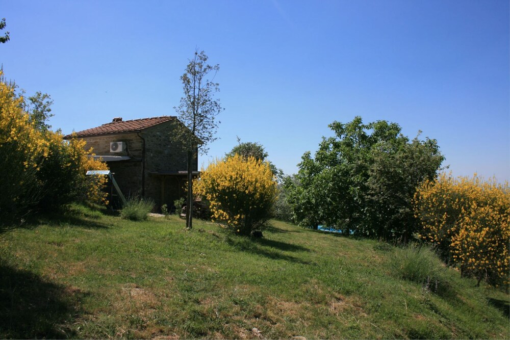 Photo 18