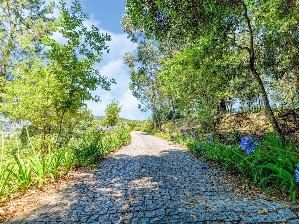 Forest Hideaway Near Douro Valley view 2
