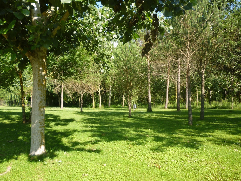 Photo 40