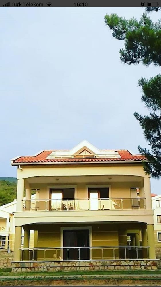 Photo 20