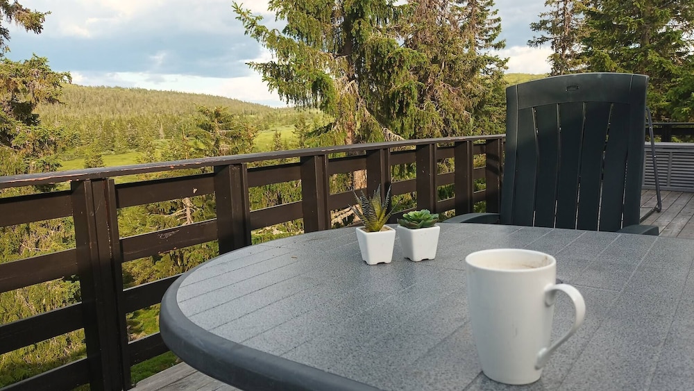 Views, Cross-country Skiing, Sauna, tub