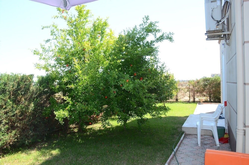 Villa Bouzid