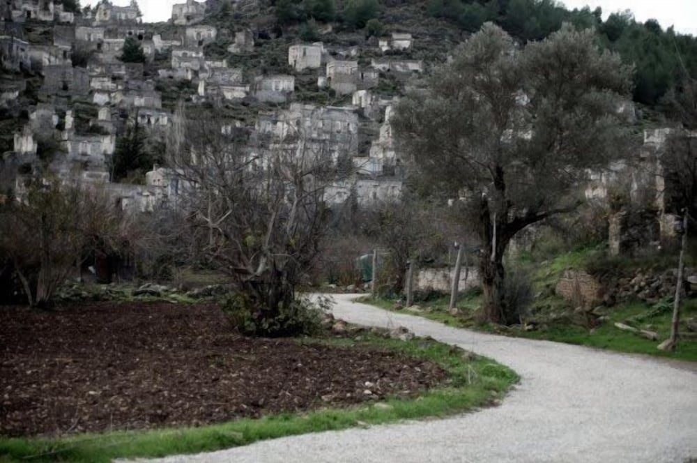 Photo 40