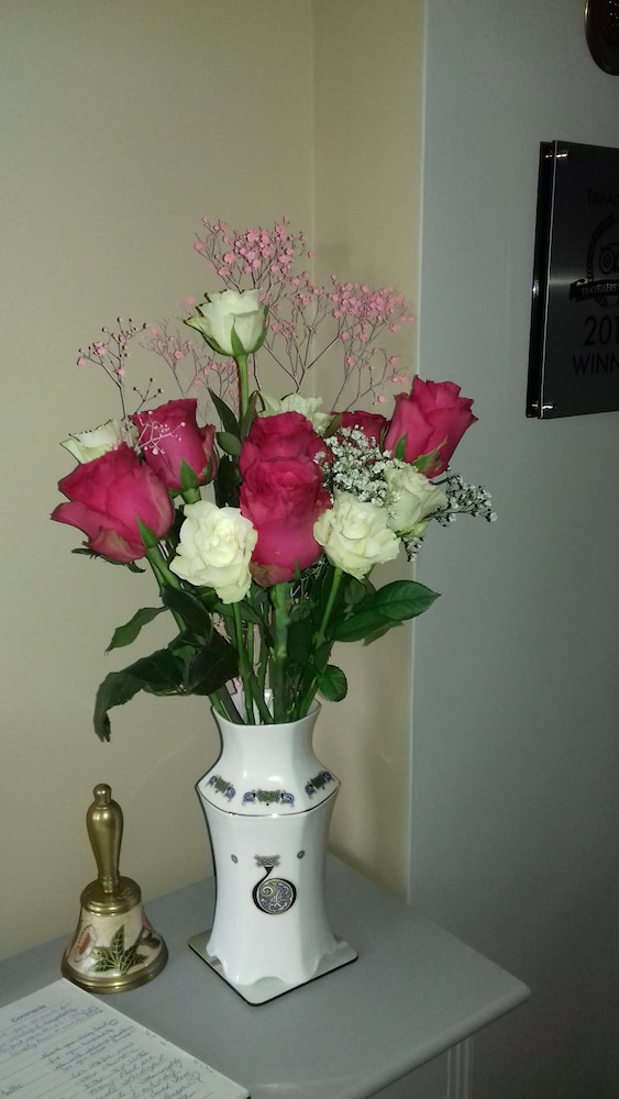 Ashfield Bed & Breakfast