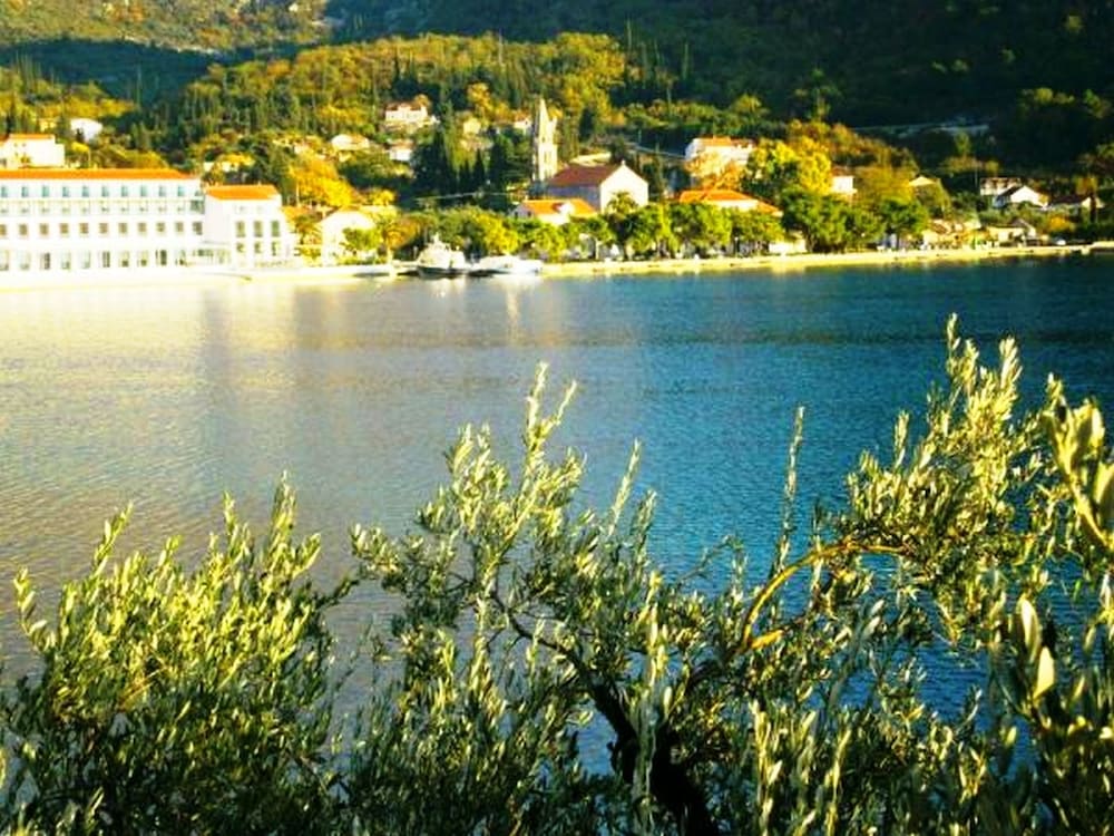 Photo 31