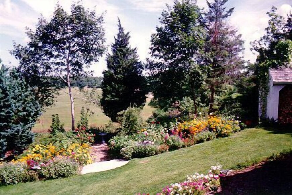 Wood Duck Inn