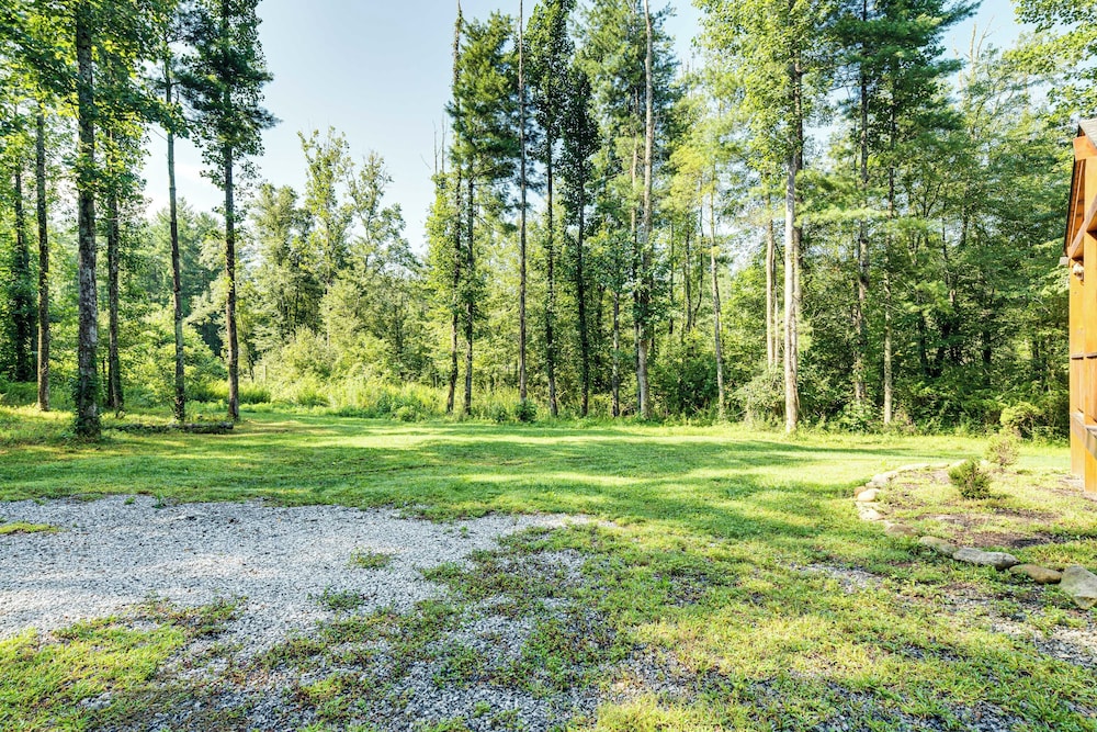 Secluded, Private! Forested Hendersonville Retreat