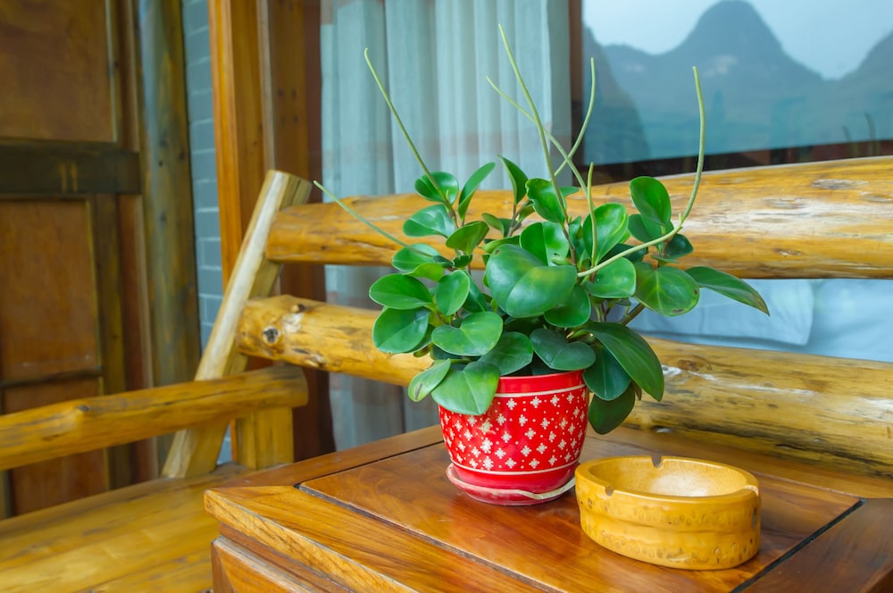 Yangshuo Scenic Mountain Retreat