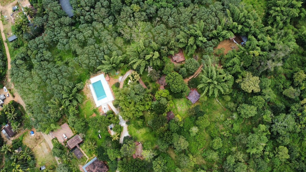 Misty Night Jungle Side Resort