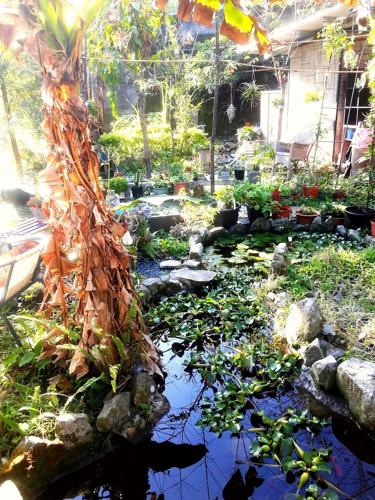 Photo 32