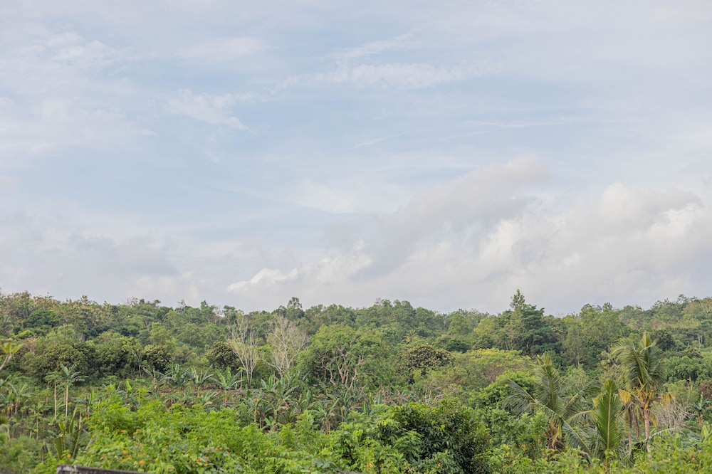 The Sweet Corn Bungalow Nusa Penida view 3