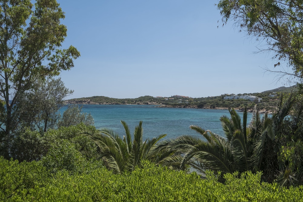 Sea front Athena Sounion Apartment