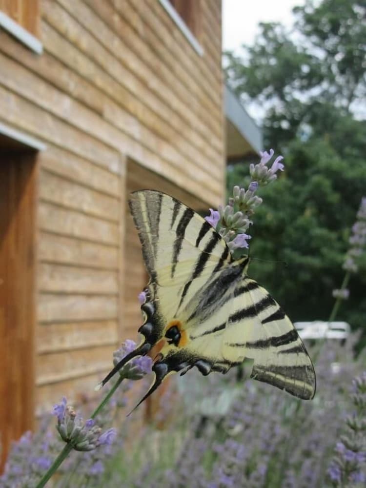 La Maison d'Hôtes D'une Autre Nature
