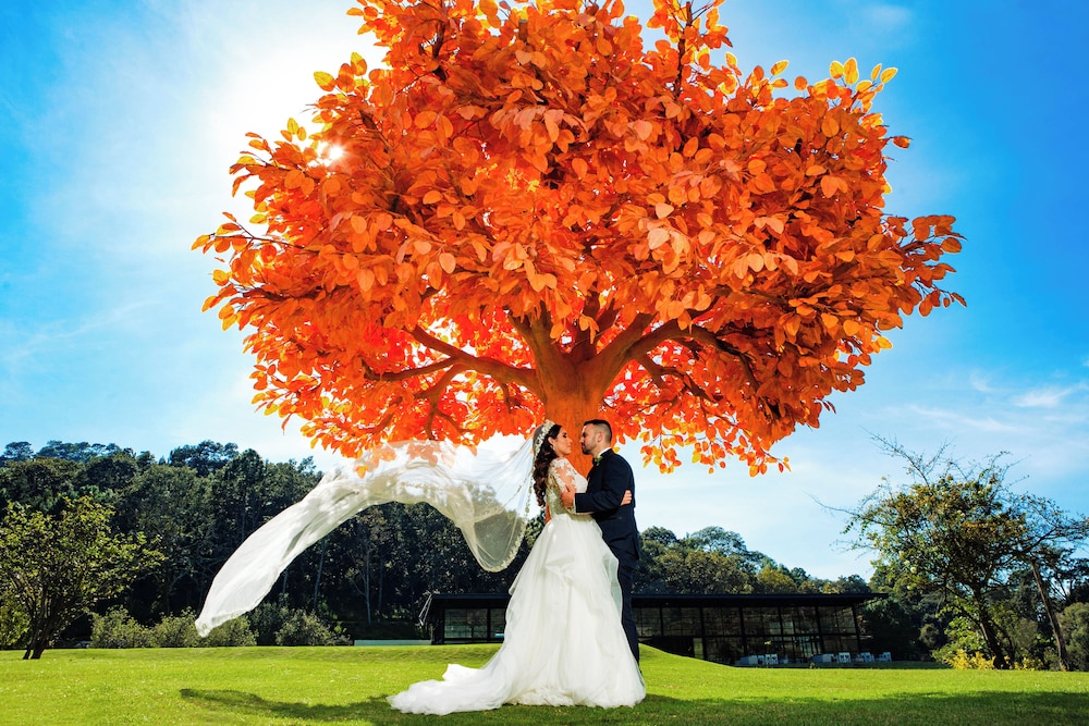 Sierra Lago Resort  Spa - All inclusive - Property Image 182