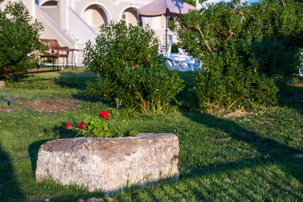 Klelia Beach Hotel - All Inclusive