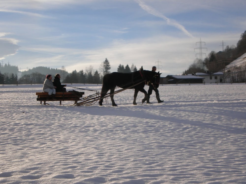 Cozy Apartment in Embach Austria near Ski Area view 4
