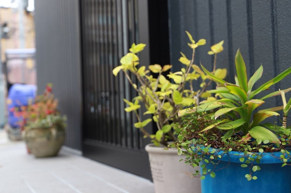 Hostel Taichi-House