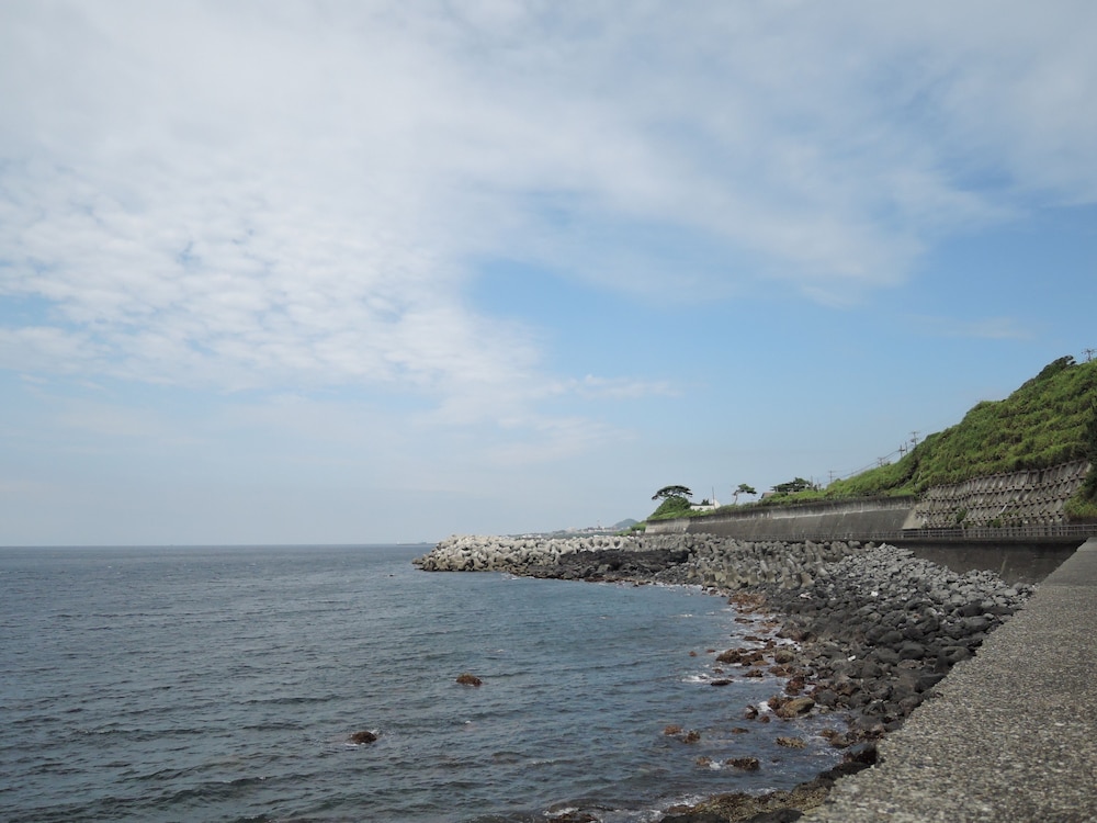 Photo 29