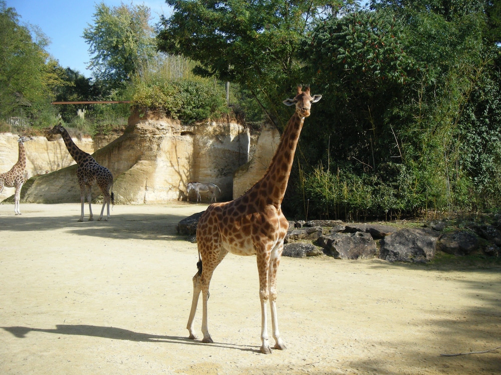 Le Logis des Roches d'Antan