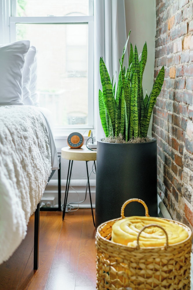 Jungle House Boutique Suites – Short North & Convention Center