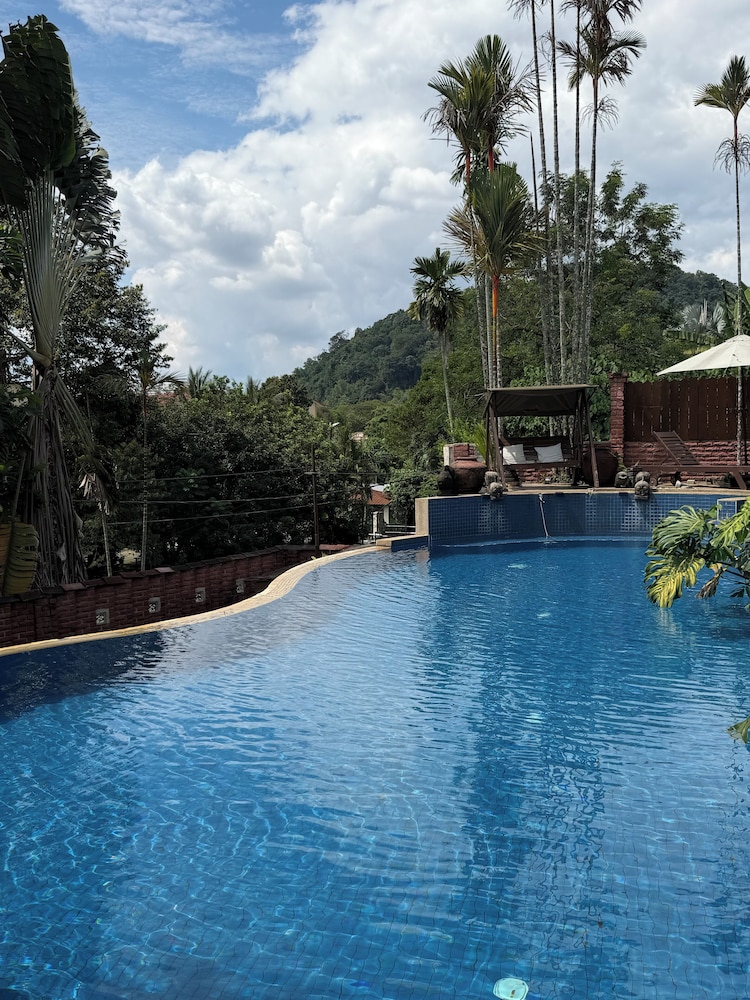 Serene Palm Heritage Tropical Villa