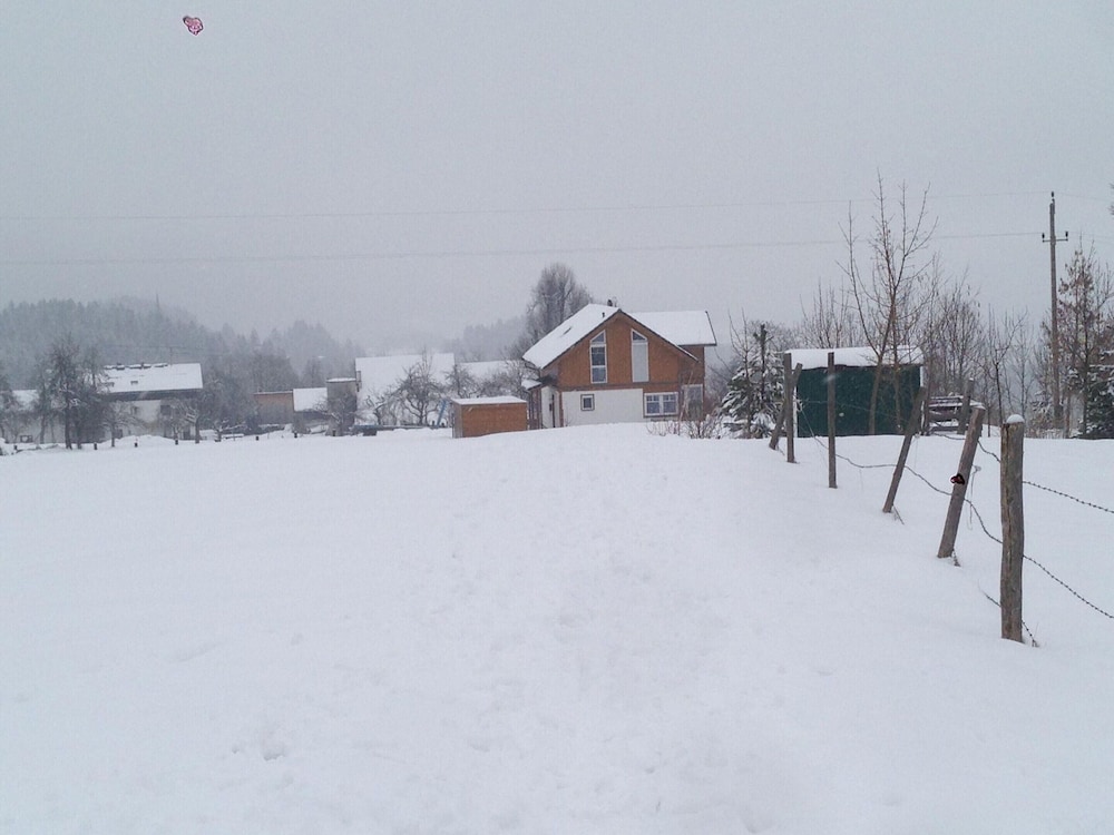 Photo 33