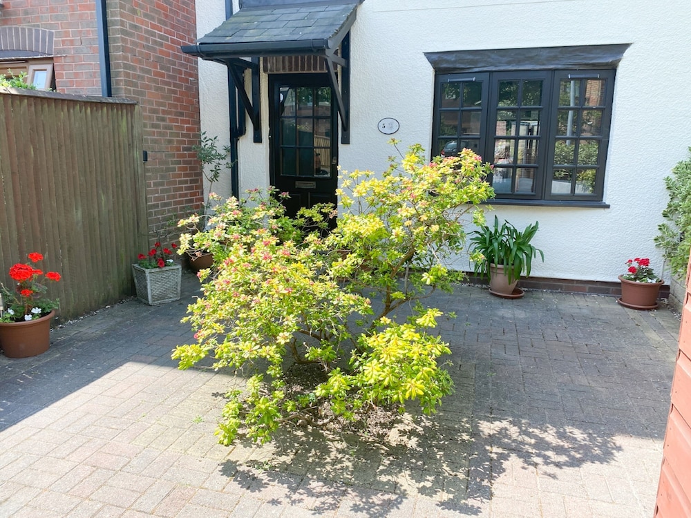 Photo 25