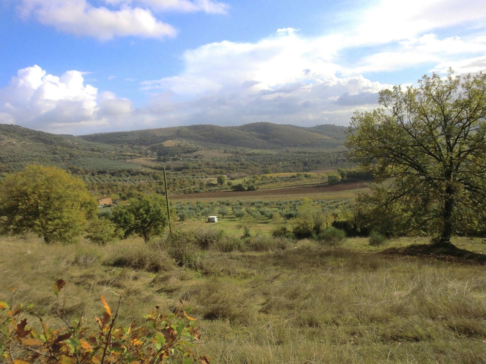 Photo 29