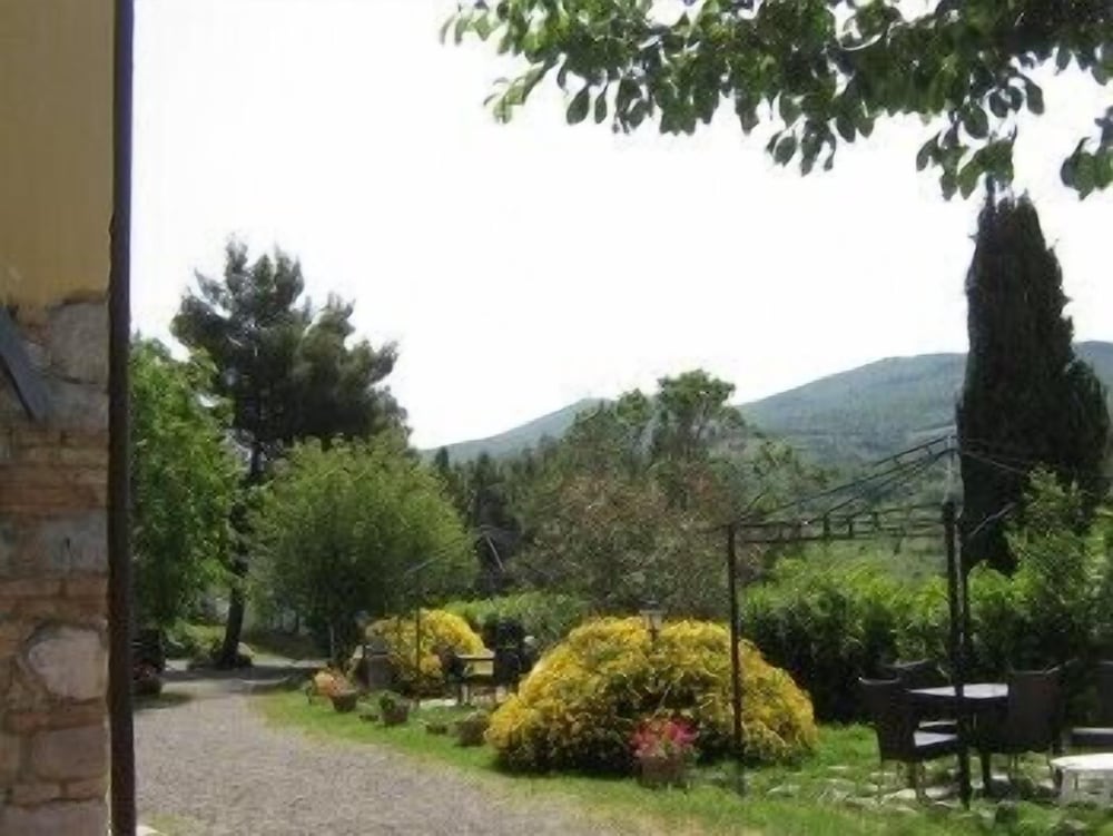 Photo 41