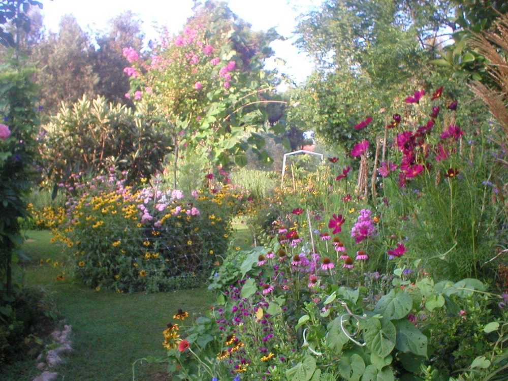 Photo 9