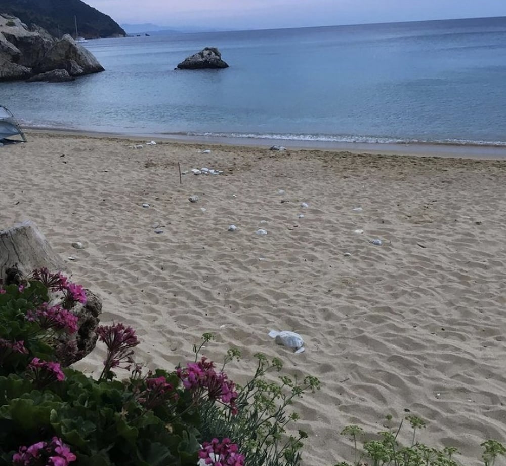 Harmony Sea Side