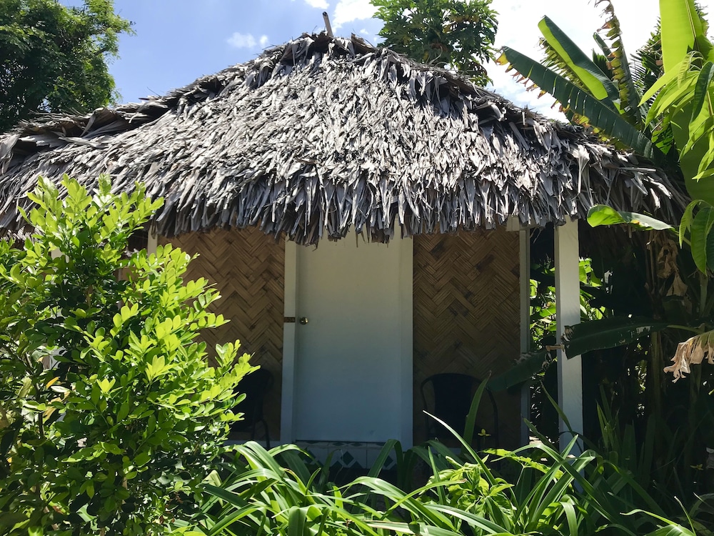 Tanna Evergreen Resort & Tours
