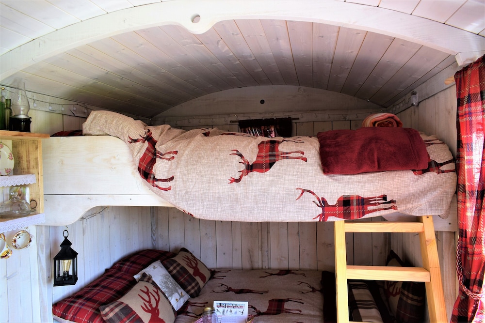 Meadow Shepherds hut view 2