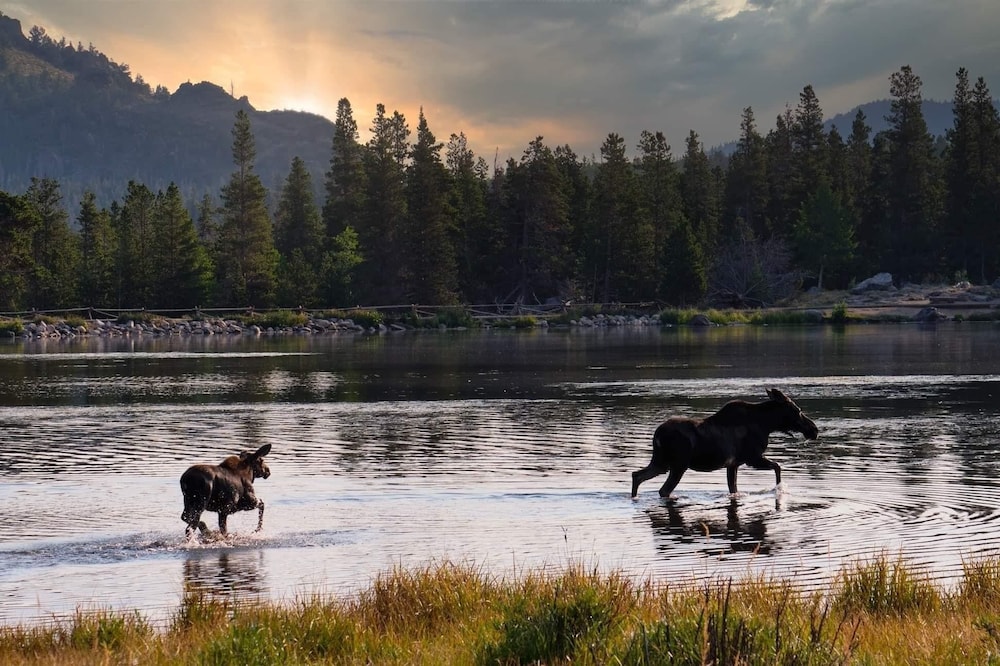 Frontier Mountain Retreat - Monthly Long-term Vacation Rental 30 Days Minimum -- Estes Park 1 Bedroom Apts by RedAwning - Property Image 10