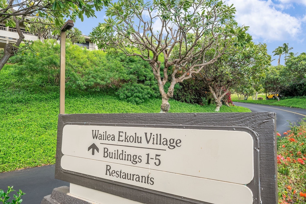 Extraordinary Molokini Views, Spectacular Renovation, New Split AC, Ocean Views!