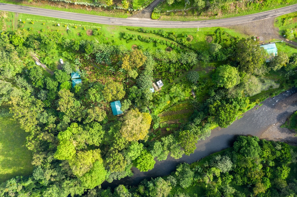 Eden Organic Farm & Bungalows