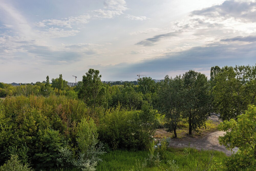 Photo 47