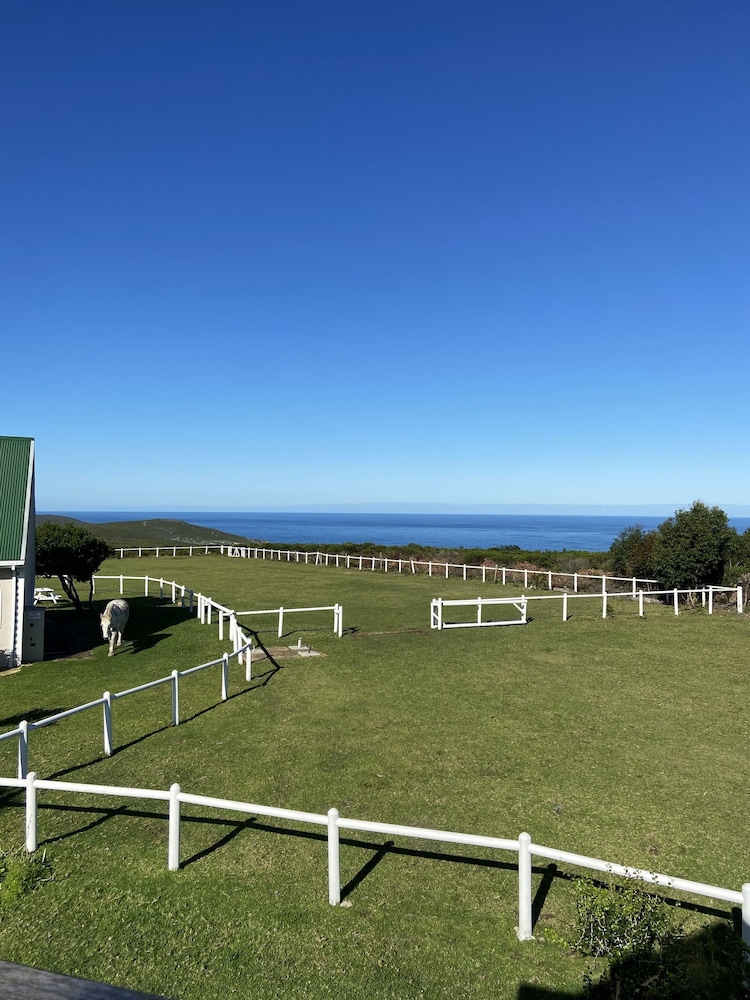 T'Niqua Stable Inn