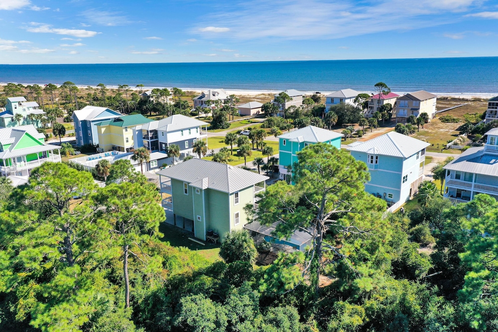 Cape Palms