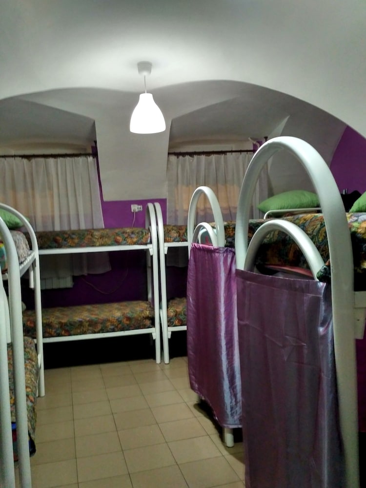 JUNGLE - Hostel