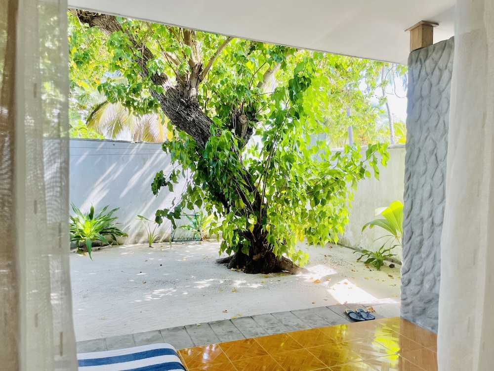 Madi Finolhu Guesthouse