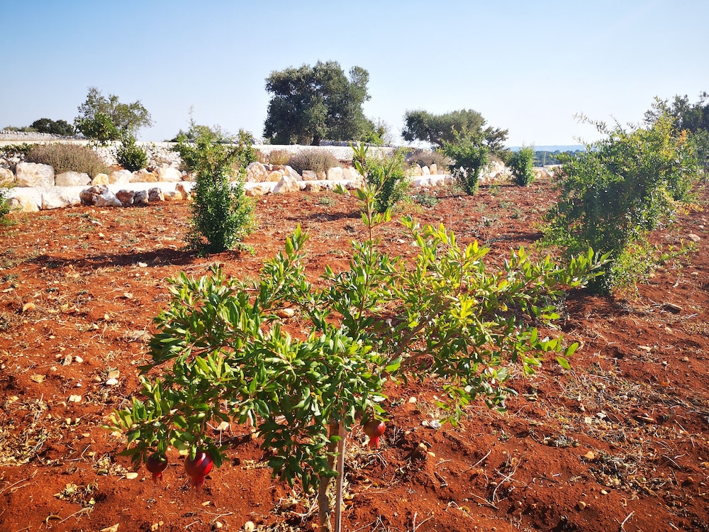 Masseria Poesia