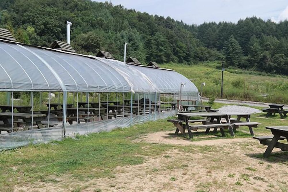 Club Olympia Pension & Resort
